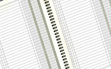 Carica l'immagine nel visualizzatore di Gallery, LogicaShop Scadenziario Mensile 12 mesi, Scadenzari A4, Quaderno Pagamenti, Registro Scadenzario Incassi Annuale, Scadenziari Fatture Ufficio