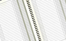 Charger l'image dans la galerie, LogicaShop Registro Scadenziario A5, Pagamenti Mensile 12 mesi (1) - LogicaShop.it