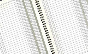 LogicaShop Scadenziario Mensile 12 mesi, Scadenzari A5, Quaderno Pagamenti, Registro Scadenzario Incassi Annuale, Scadenziari Fatture Ufficio
