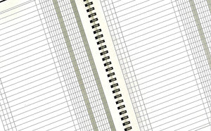 LogicaShop® Scadenziario Mensile 12 mesi, Scadenzari A5, Quaderno Pagamenti, Registro Scadenzario Incassi Annuale, Scadenziari Fatture Ufficio