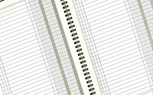Load image into Gallery viewer, LogicaShop Registro Scadenziario A4, Pagamenti Mensile 12 mesi (1)
